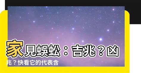 看 到 蜈蚣代表什麼|家有蜈蚣？吉兆還是凶兆？